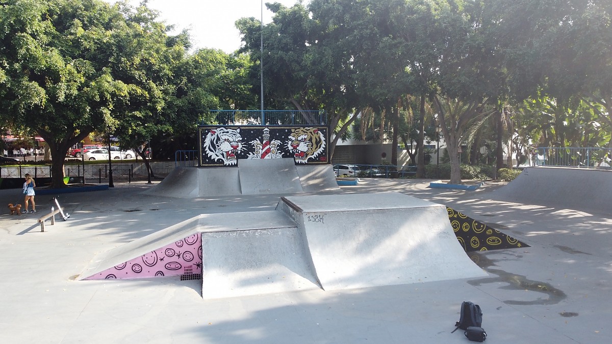 Monopatines skatepark